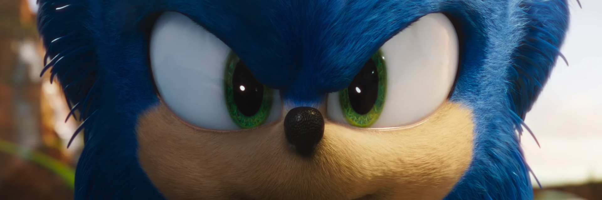 Sonic in Sonic's New Trailer