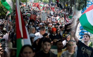 Palestine support marches across the world.