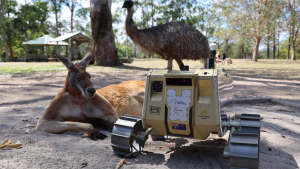 An image of Roo-ver. Courteous of Australian Space Agency.